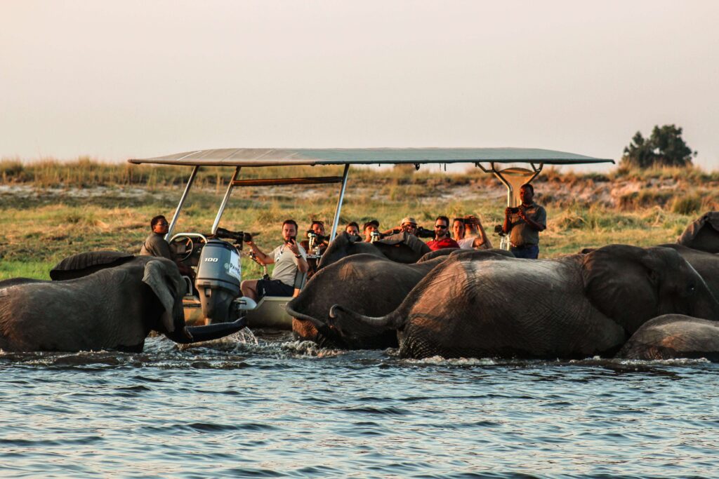 Botswana, a.k.a. milujeme nedotknutú prírodu!