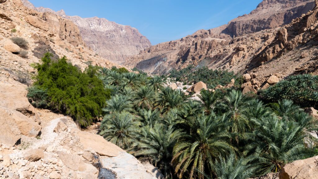 Omán – púšť, oázy, hory, pláže a arabské hrady