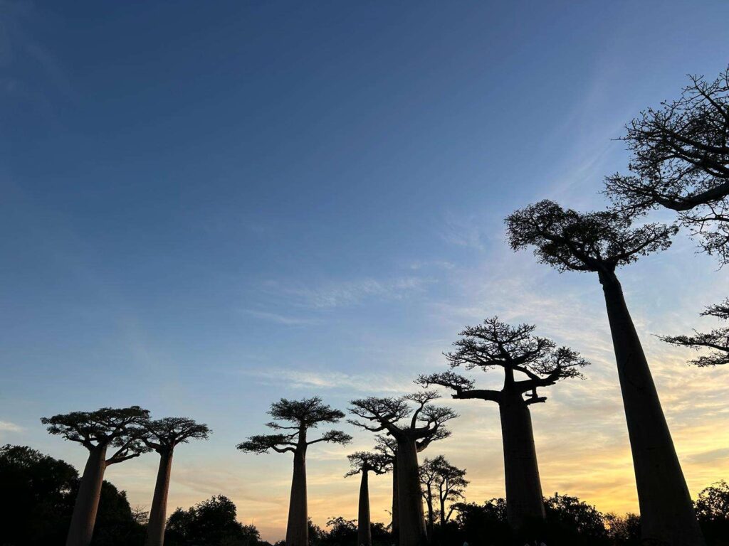 Madagaskar a exotický ostrov Nosy Boraha – Laboratórium bohov