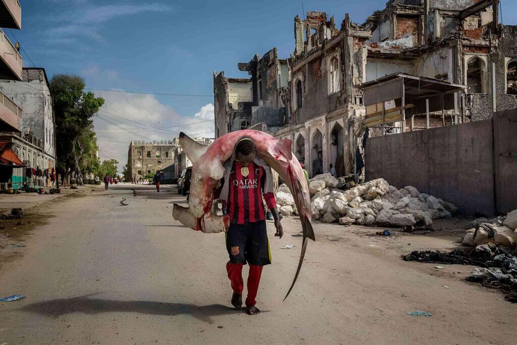Somálsko – Mogadišu, Puntland a Somaliland