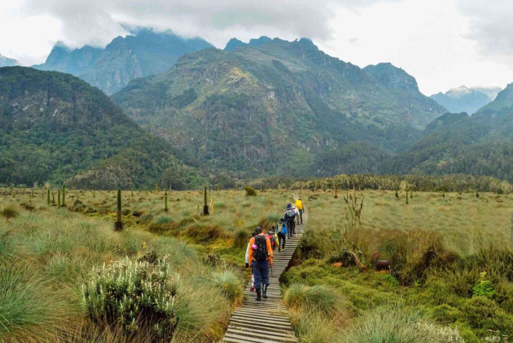 Uganda – Výstup na mystické Rwenzori – 3. najvyšší vrch Afrického kontinentu