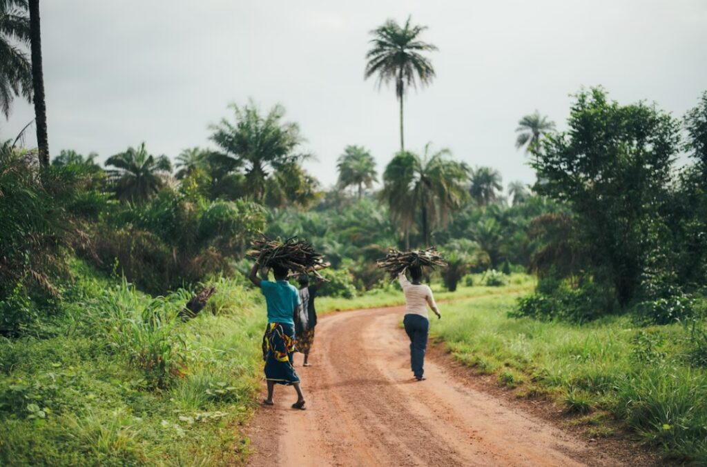 Guinea-Bissau, Guinea, Senegal a Gambia – Skrytá divočina – Galapágy Afriky, kmene a vodopády