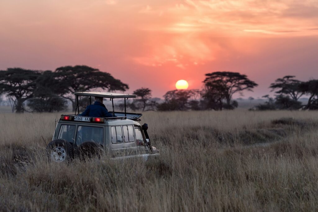 Tanzánia a Zanzibar – Safari s lokálnym sprievodcom a oddych na Zanzibare